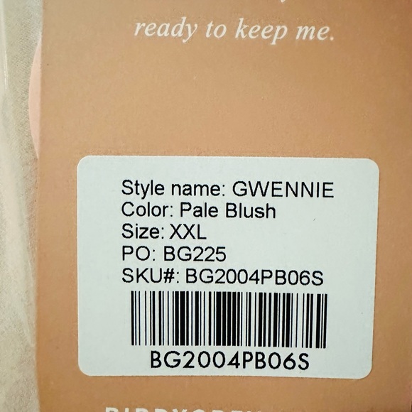 Birdy Grey GWENNIE DRESS CHIFFON PALE BLUSH XXL NEW NWT BRIDESMAID WEDDING - Picture 4 of 4